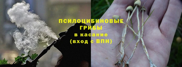 герыч Алексин