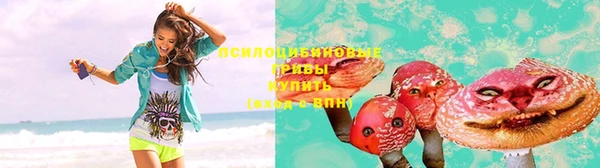 герыч Алексин