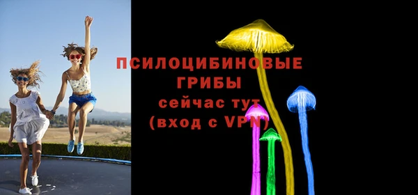 герыч Алексин