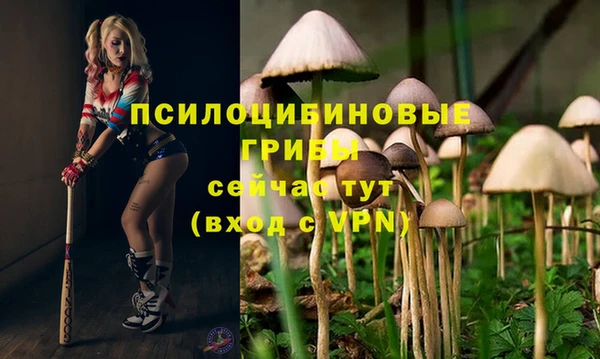 гашик Алзамай
