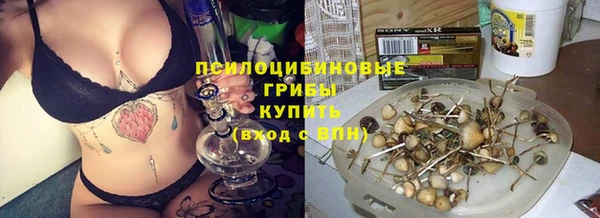 гашик Алзамай